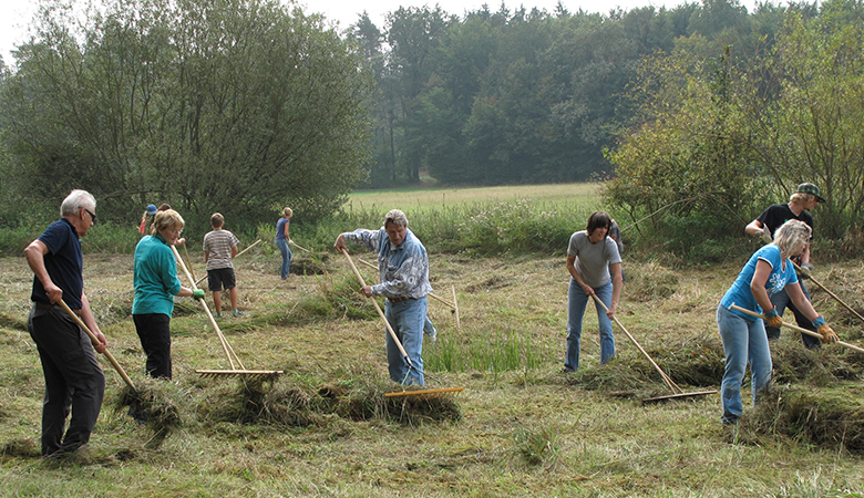 Mehrere Personen arbeiten auf einem Feld.